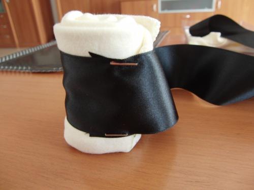 Regala sushi para recién nacidos