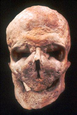 La saga de Egil Skallagrimsson, de Snorri Sturluson