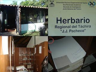 HERBARIO REGIONAL DEL TÁCHIRA (HRT)
