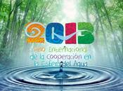2013: Internacional Cooperación Esfera Agua