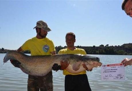 WORLD CATFISH CLASSIC 480x331 WORLD CATFISH CLASSIC 2013 CHIPRANA