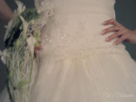 Mi colaboración en Exponuvis 2012