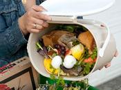 mitad comida basura