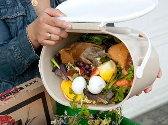 tirar comida a la basura