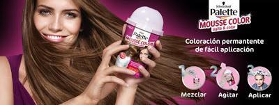 Palette Mousse Color de Schwarzkopf - Nunca más