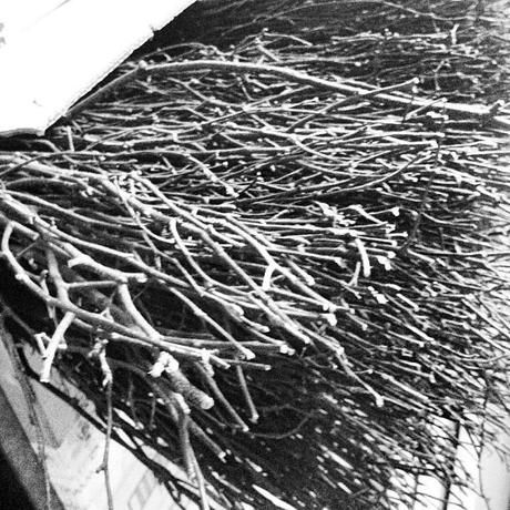 Kits para photocalls, globos pequeños de látex y algunos posts divertidos escobas para brujas