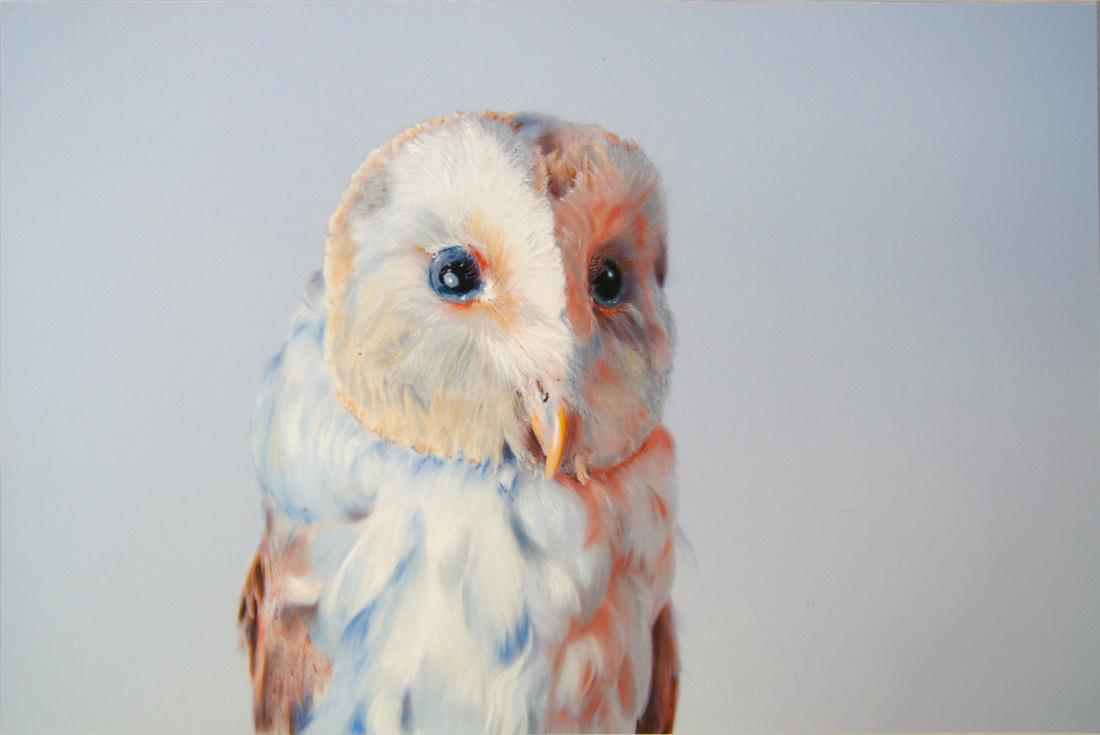 John Pusateri – Pinturas