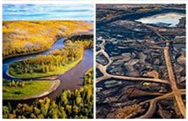 Ecocidio: por la legislación de los crímenes contra la naturaleza