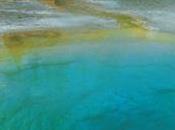 rese&#241;as est&#225;n aqu&#237;