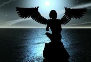 Reflexiones para el año que comienza: de amor y de sombras.