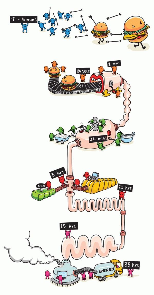 ilustraciones de tang yau hoong