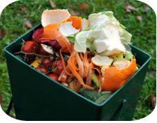 La mitad de los alimentos del mundo se van a desperdiciar