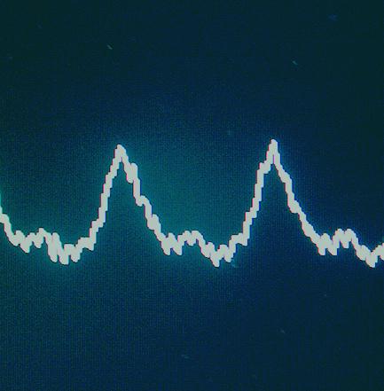 PAL CONECTION & INTERNATIONAL IMAGES