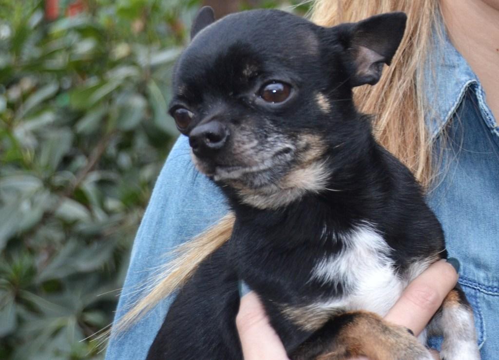 Leather & denim: Basic Mix