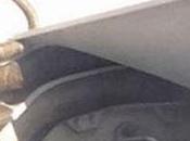 Serpiente pitón vuela polizón avión (incluye video)