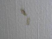 mancha pared