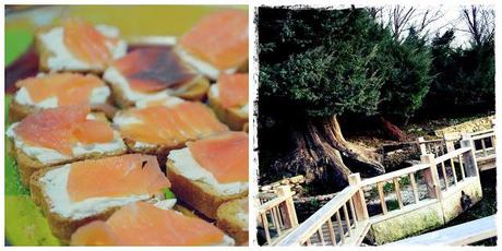 Bye Week! 13/Jenuary