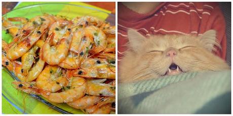 Bye Week! 13/Jenuary