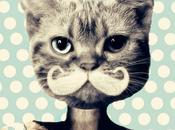 bigote sigue reinventando