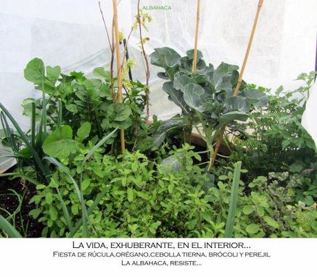 Colección Invierno 2013 - Paperblog