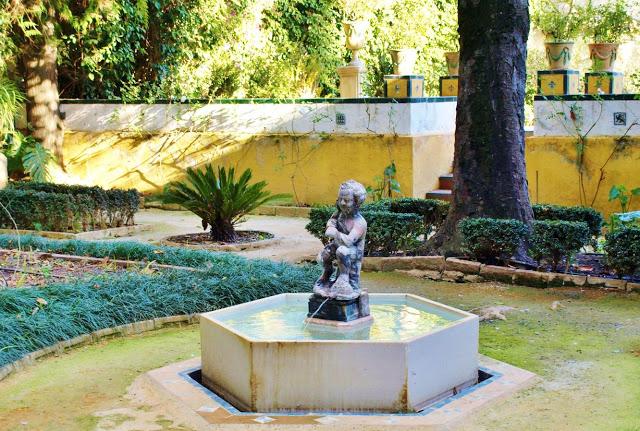 El niño y la tortuga.