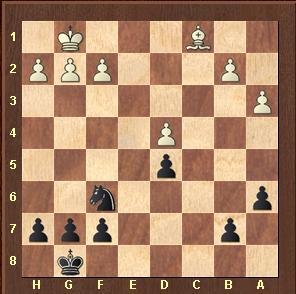 El “recordman (2.861!)” Magnus Carlsen  en el Tata Steel Wijk aan Zee 2013 (II).