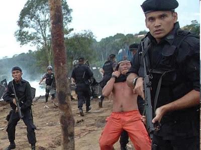 LÁGRIMA ESMERALDA. La igualdad más allá de la humanidad.