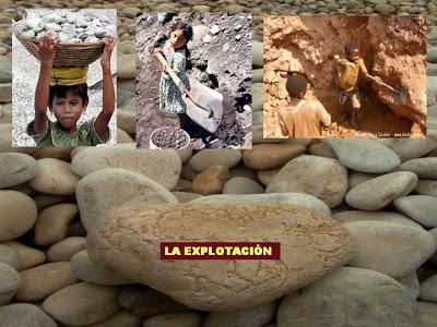 LÁGRIMA ESMERALDA. La igualdad más allá de la humanidad.