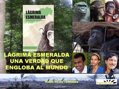 LÁGRIMA ESMERALDA. La igualdad más allá de la humanidad.