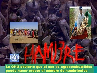 LÁGRIMA ESMERALDA. La igualdad más allá de la humanidad.