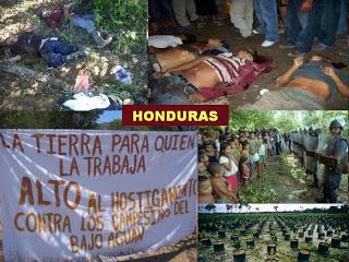 LÁGRIMA ESMERALDA. La igualdad más allá de la humanidad.