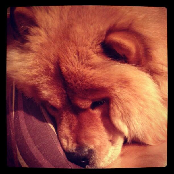 Mi semana en imágenes...