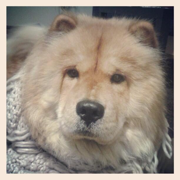 Mi semana en imágenes...