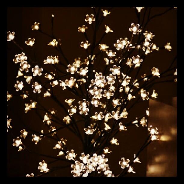 Mi semana en imágenes...