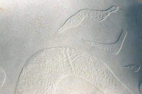 Decapado al ácido del hormigón moldeado (I) Decapado al ácido del hormigón moldeado (I)