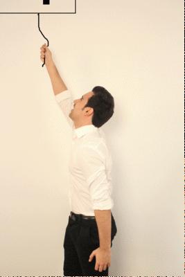 El año de la genialidad.