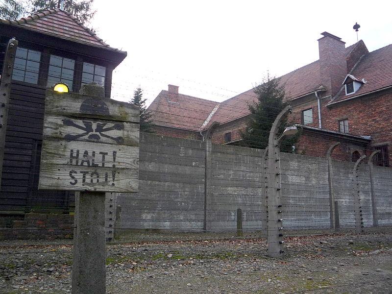 Auschwitz. El museo del horror