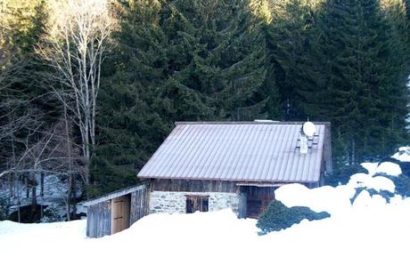 I love to ski I love to ski