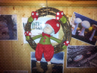 Decoracion Navideña.