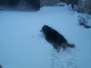 Primera gran nevada temporada 2012- 2013