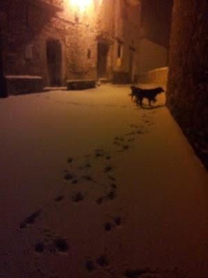 Primera gran nevada temporada 2012- 2013