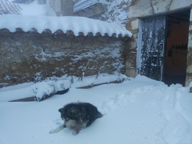 Primera gran nevada temporada 2012- 2013