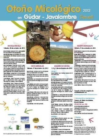 Jornadas Micológicas en Linares de Mora