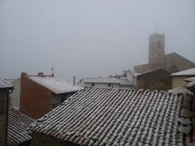 Pero... llegaron las primeras heladas y los primeros copos