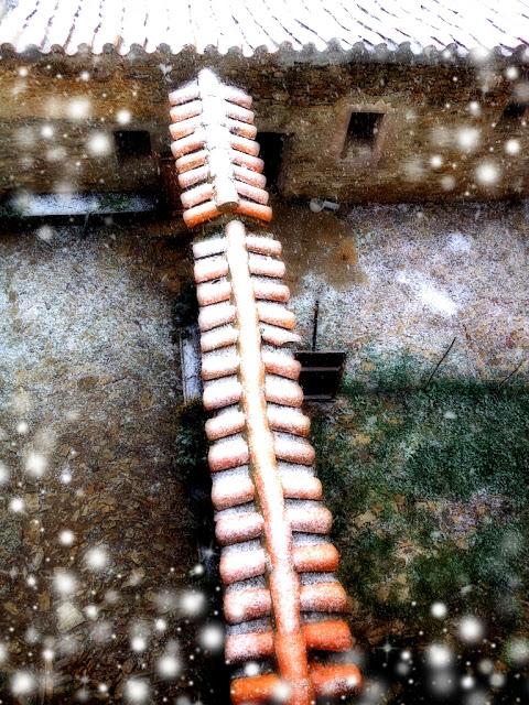 Pero... llegaron las primeras heladas y los primeros copos