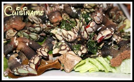 mariscos, recetas de mariscos, percebes, bocas de buey de mar, patas de araña, laurel, vino blanco, recetas de cocina, curiosidades, trucos, consejos, cocinar, blog de cocina, chistes, humor