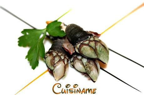 mariscos, recetas de mariscos, percebes, bocas de buey de mar, patas de araña, laurel, vino blanco, recetas de cocina, curiosidades, trucos, consejos, cocinar, blog de cocina, chistes, humor