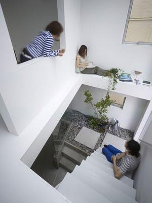 Jardin interior en una arquitectura