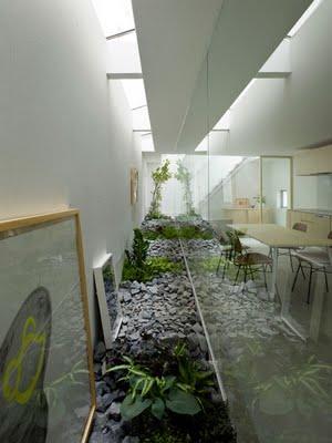 Jardin interior en una arquitectura