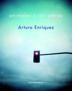 ARTURO ENRÍQUEZ, ANIMALES Y CARRETERAS: EL MAPA DE LAS RUPTURAS NO DECLARADAS